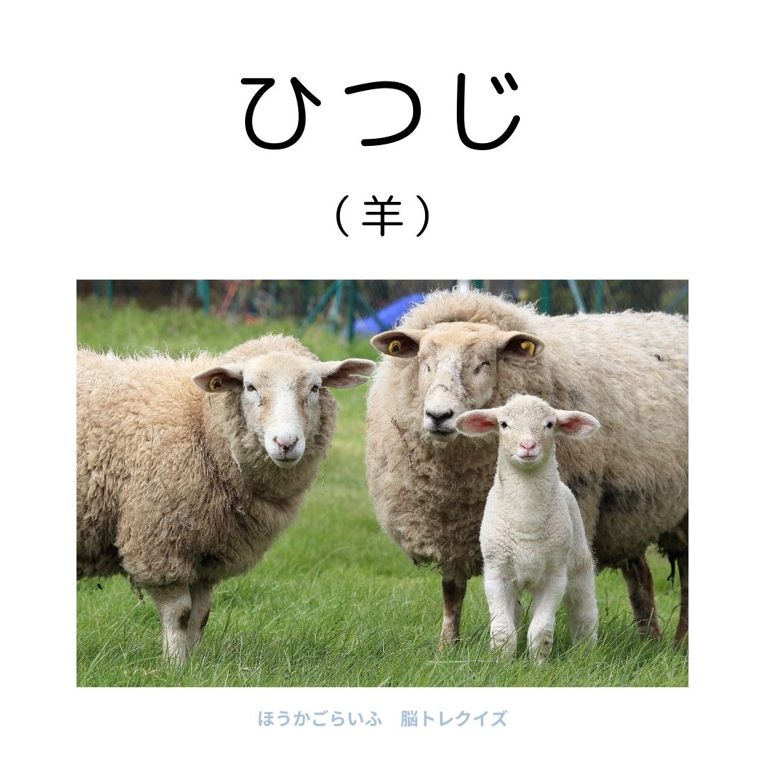 高齢者向け（無料）言葉の並び替えで脳トレしよう！文字（ひらがな）を並び替える簡単なゲーム【動物の名前】健康寿命を延ばす鍵